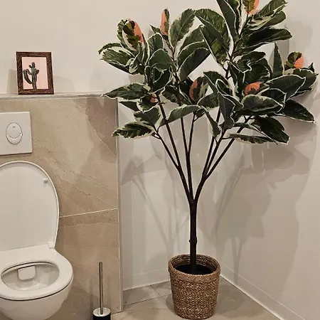 Frühstückspension D'hote De Charme L'escapada Les Echappees Belles