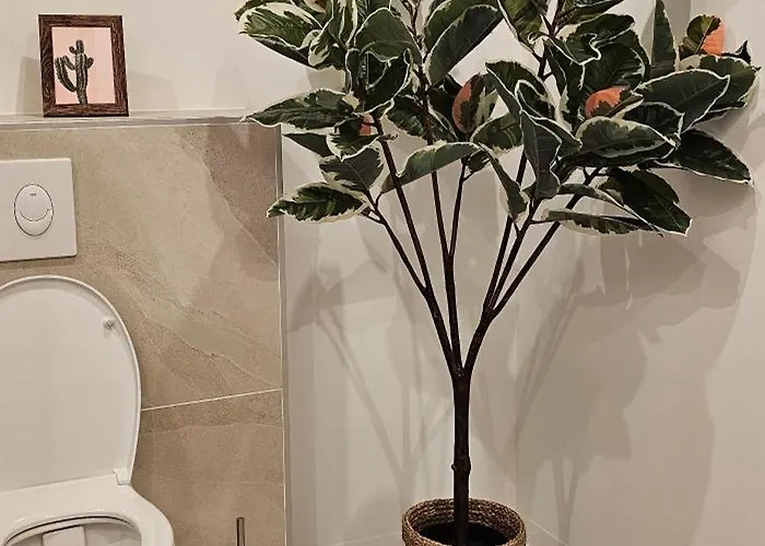 Panzió D'hote De Charme L'escapada Les Echappees Belles